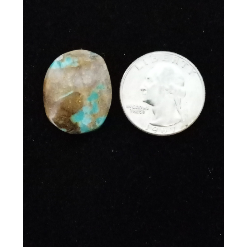 Nevada Turquoise