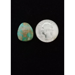 Nevada Turquoise