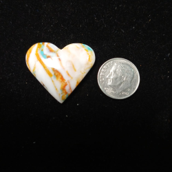 SPINY OYSTER/TURQUOISE