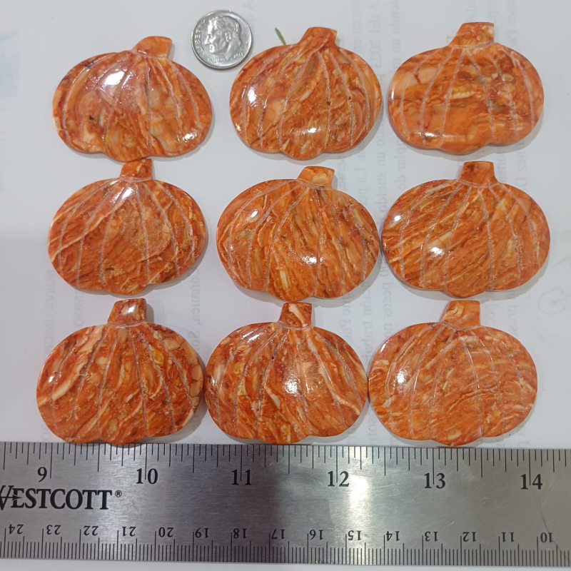 SPINEY OYSTER PUMPKINS